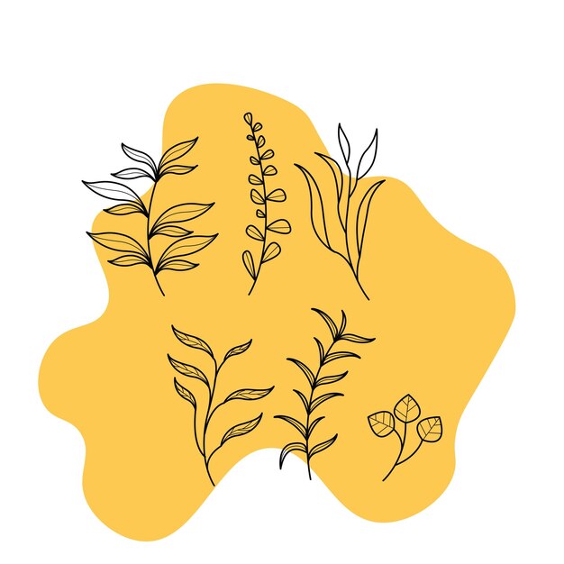 Ramas de árboles dibujadas a mano y hojas ornamento de diseño gráfico vectorial