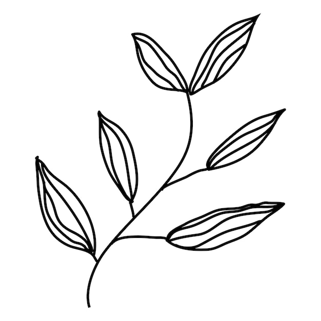 Ramas de árboles eucalipto hojas de palma hierbas y flores siluetas