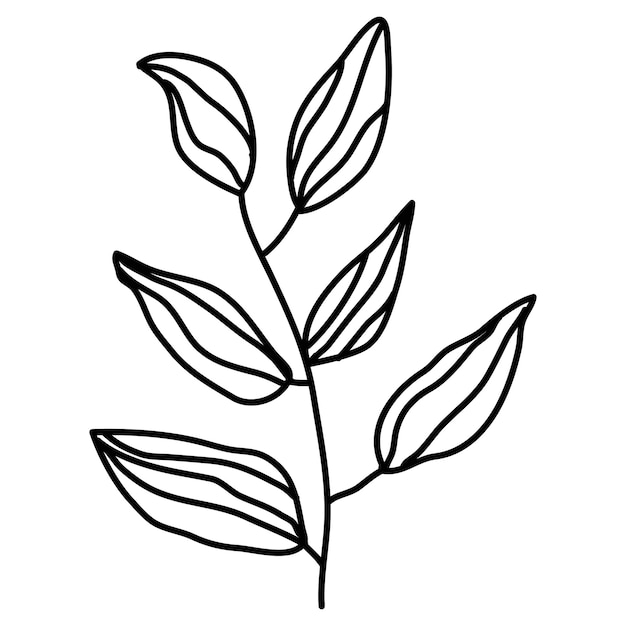 Ramas de árboles eucalipto hojas de palma hierbas y flores siluetas