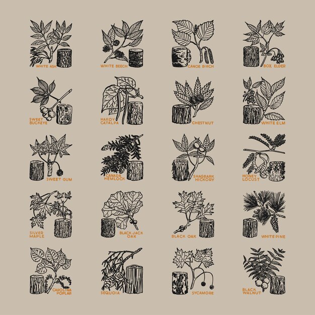 Ramas de árboles hojas iconos clipart retro logotipo vintage plantilla de ilustración diseño elementos vectoriales