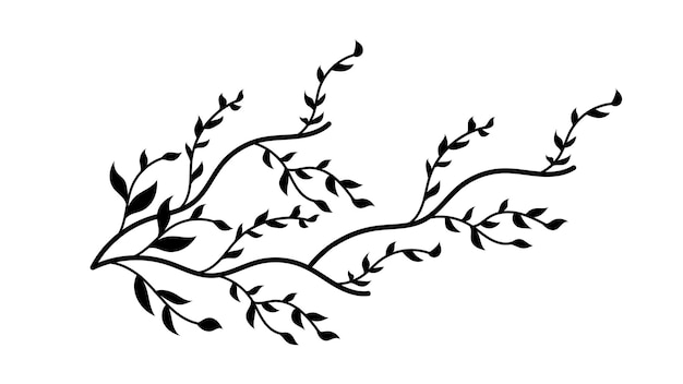 Ramas de árboles con hojas Shilouette utilizadas para la invitación de recursos de diseño floral en blanco y negro