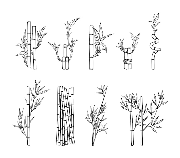 Vector ramas de bambú de color negro dibujadas a mano, hojas y vapores aislados sobre un fondo blanco