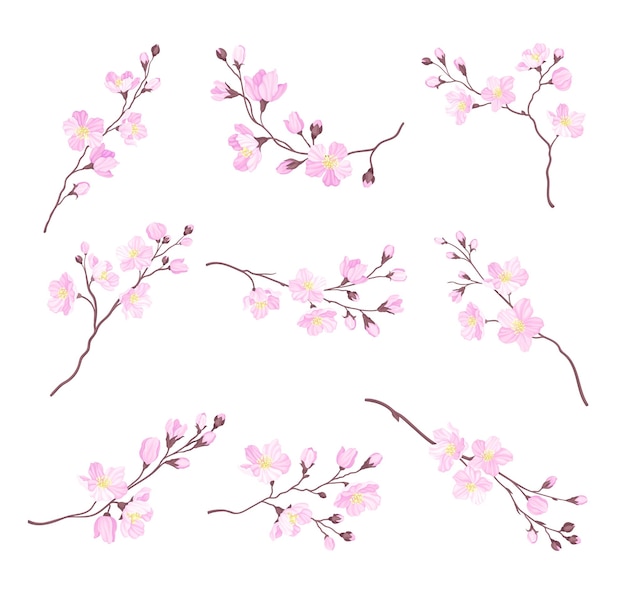 Ramas de cereza en flor con flores rosadas tiernas Conjunto vectorial