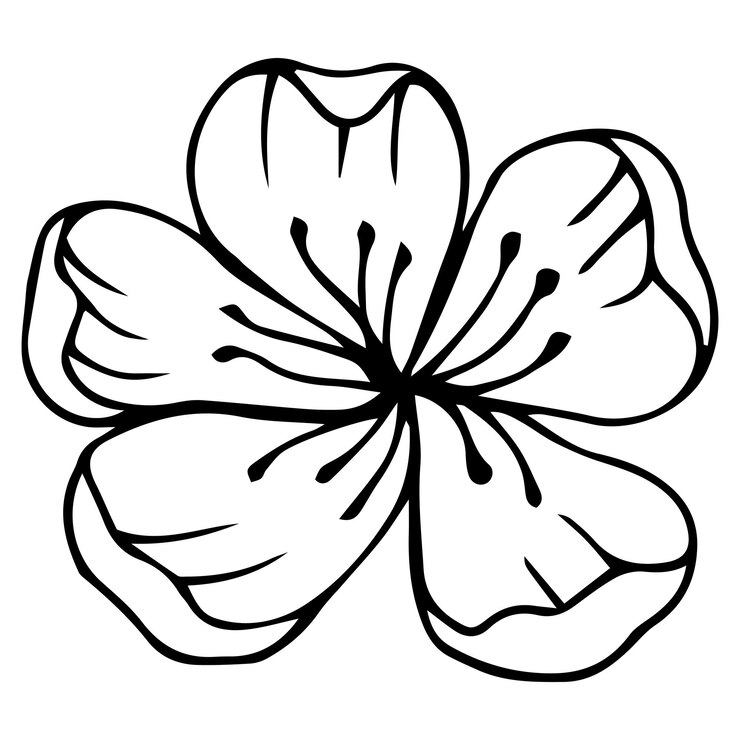Vector ramas de cerezo dibujadas a mano con flores, libro para colorear en blanco y negro. silueta de planta de sakura