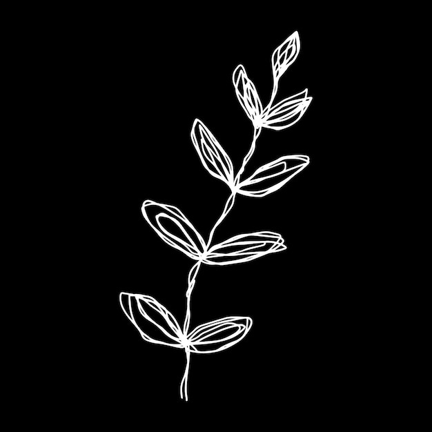 Ramas de contorno de bosquejo florístico botánico con hojas rama minimalista aislada de vector sobre un fondo