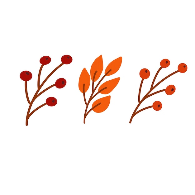 Ramas decorativas inspiradas en el otoño con bayas rojas y hojas de naranja en una ilustración simple