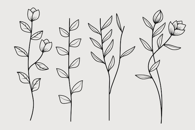 Ramas dibujadas a mano con hojas en una colección botánica Ilustración vectorial