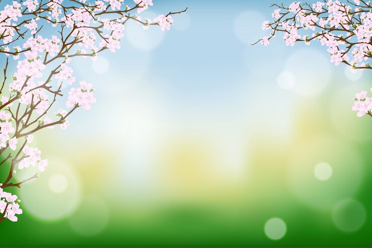 Vector las ramas de la flor de cerezo de primavera florecen en el burry bokeh