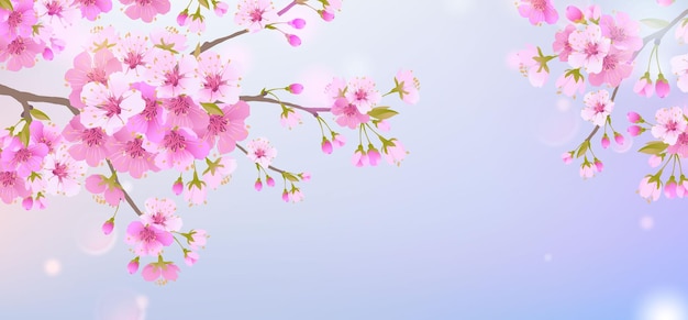 Ramas de flores de cerezo sobre fondo de cielo azul