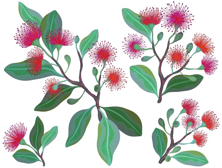Vector ramas frondosas con flores de eucalipto de color rojo brillante y púrpura