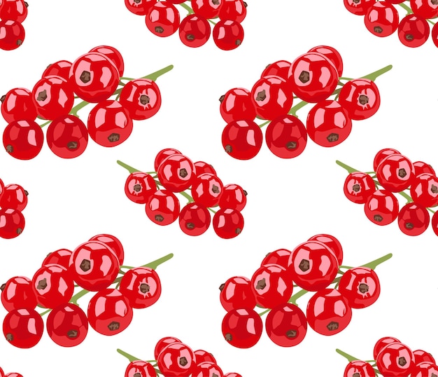 Ramas de grosella roja en diferentes ángulos