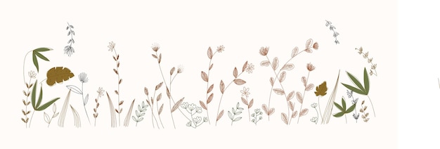 Ramas de hierbas hojas dibujado a mano banner fondo vector vegetación ilustración