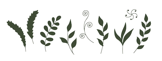 ramas de hierbas verdes hojas de plantas decorativas follaje elementos vectores florales