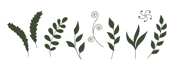 Vector ramas de hierbas verdes hojas de plantas decorativas follaje elementos vectores florales