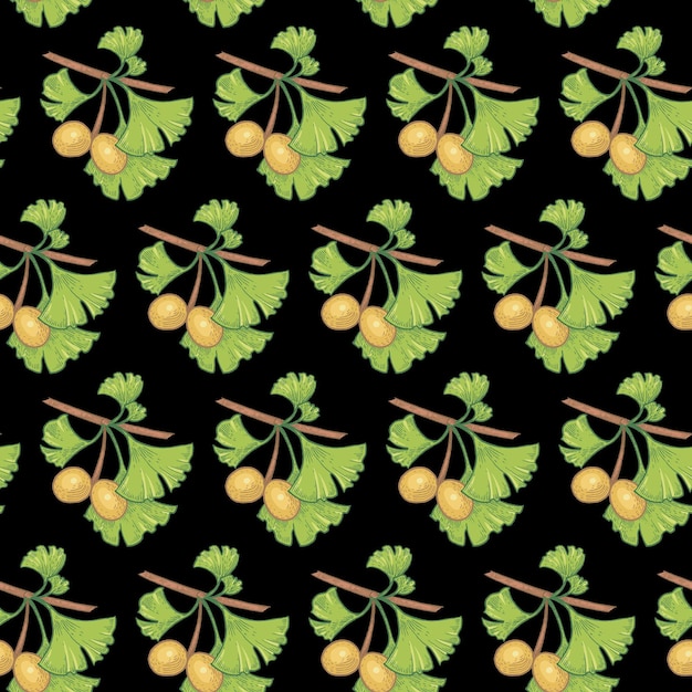 Ramas con hojas y bayas de ginkgo biloba sobre fondo negro Patrón transparente de vector
