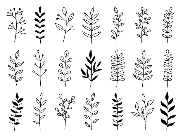 Vector ramas y hojas garabatos elementos de diseño de garabatos florales en estilo boceto plantas decorativas rústicas ilustración vectorial dibujada a mano aislada sobre fondo blanco