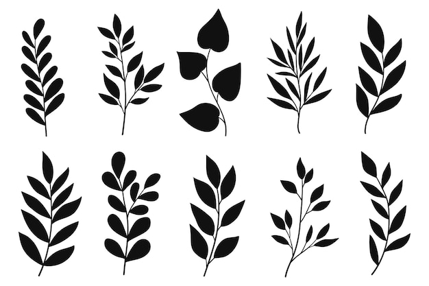 Ramas y hojas siluetas establecidas plantas silvestres hojas silhuetas negras aisladas en blanco