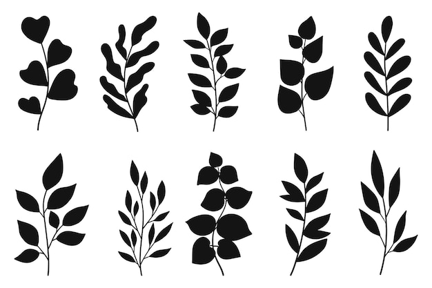 Ramas y hojas siluetas establecidas en plantas silvestres negras y blancas hojas silhuetas negras aisladas