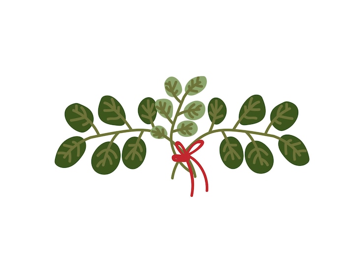 Vector ramas con hojas verdes atadas con cinta roja elemento de diseño natural para invitación de boda guardar la fecha tarjeta de felicitación cartel de citas ilustración vectorial sobre fondo blanco