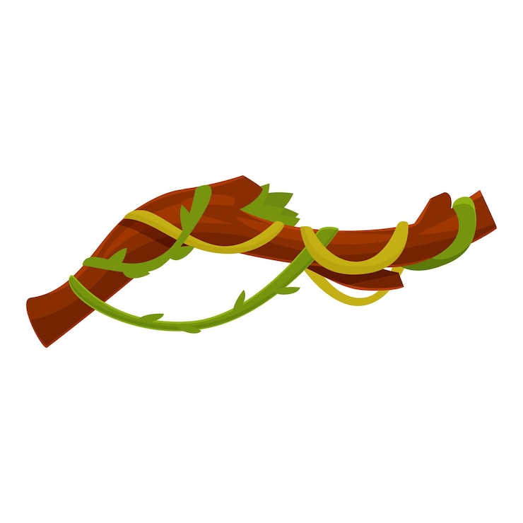 Vector ramas de lianas retorcidas entrelazadas con vides de la selva tropical