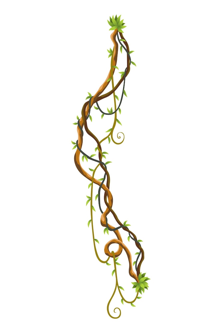 Vector ramas de lianas silvestres retorcidas banner plantas de vid de la selva bosque tropical natural leñoso botánica exótica ramas naturales leñosas