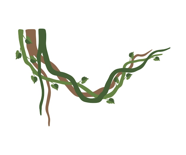 Ramas de lianas tropicales sinuosas Plantas de la selva Elemento decorativo Floras de la selva Ilustración vectorial en fondo blanco