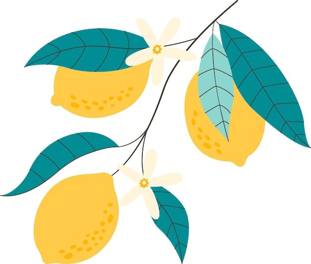 Vector ramas con limones y hojas