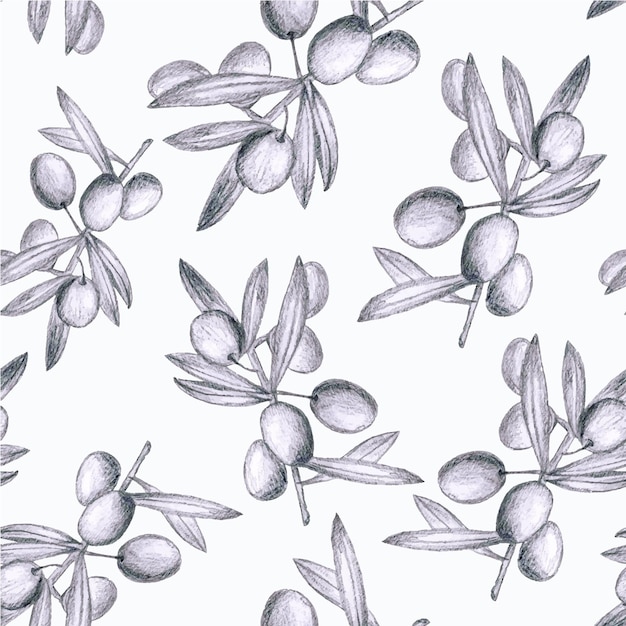 Ramas de olivo botánico de patrones sin fisuras dibujadas a lápiz