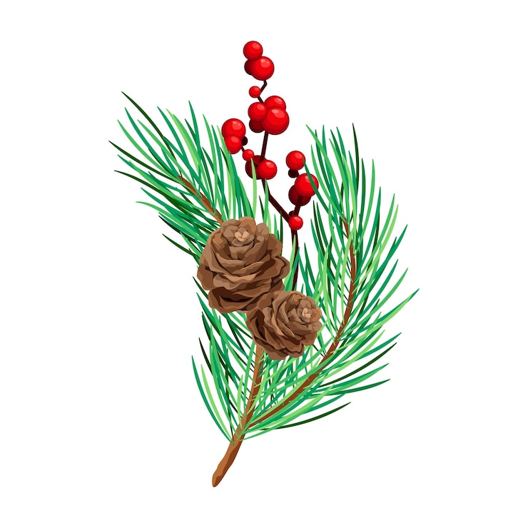 Vector ramas de pino con conos bayas rojas y decoración navideña de acebo ilustración vectorial