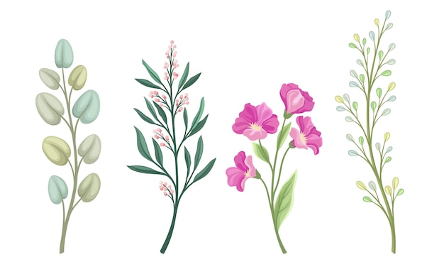 Ramas y ramas florales con brotes florales tiernos y hojas Vector Set