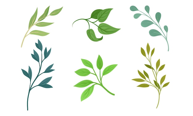 Ramas y ramas verdes con conjunto vectorial de hojas