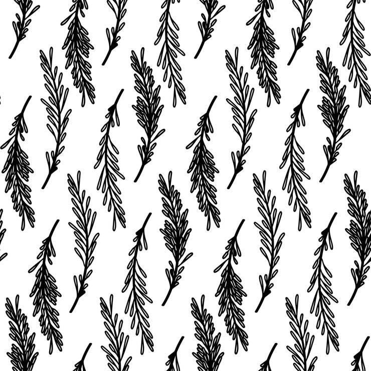 Vector ramas de romero de patrones sin fisuras ramitas florales abstractas con hojas de hierbas y especias doodle imprimir ilustración vectorial aislada sobre fondo blanco