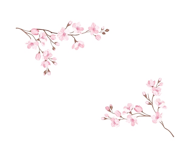 Ramas de sakura o flor de cerezo dispuestas en esquinas Ilustración vectorial