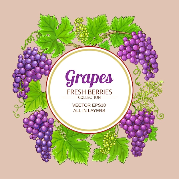 ramas de uvas marco vectorial en fondo blanco