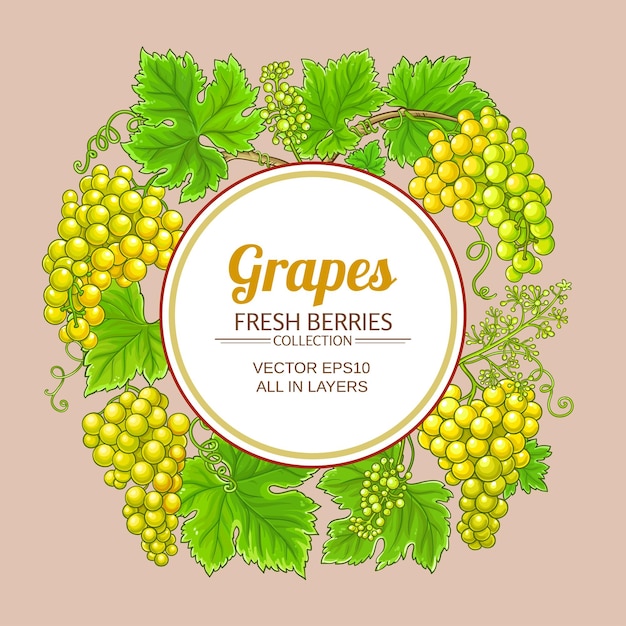 ramas de uvas marco vectorial en fondo blanco