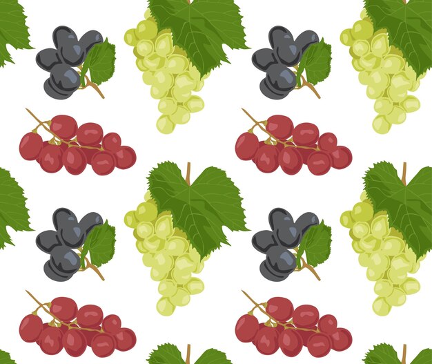 Ramas de uvas rojas negras y verdes con hojas Patrón sin costuras en vector