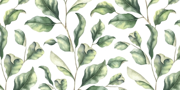 Ramas verdes con hojas dibujo a mano acuarela patrón sin costuras de ramitas fondo floral de verano para el diseño de bodas textiles papel de envoltura scrapbooking