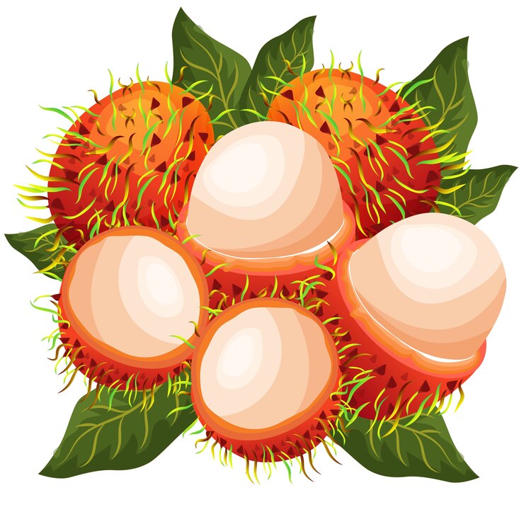 rambutans fruta exótica