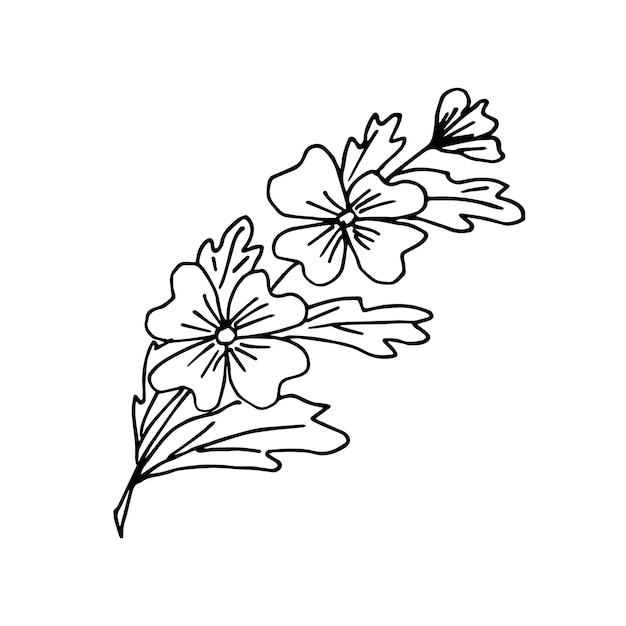 Una ramita dibujada a mano con flores y hojas al estilo de garabatos o bocetos