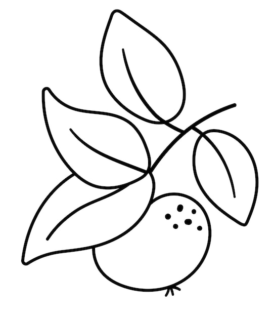 Ramita de manzana en blanco y negro vectorial con hojas Icono de línea de fruta de otoño Ilustración de estilo de cosecha de jardín aislada en fondo blancoxA