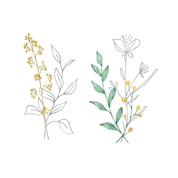 Ramo de acuarela de ilustración de flores silvestres para tarjetas