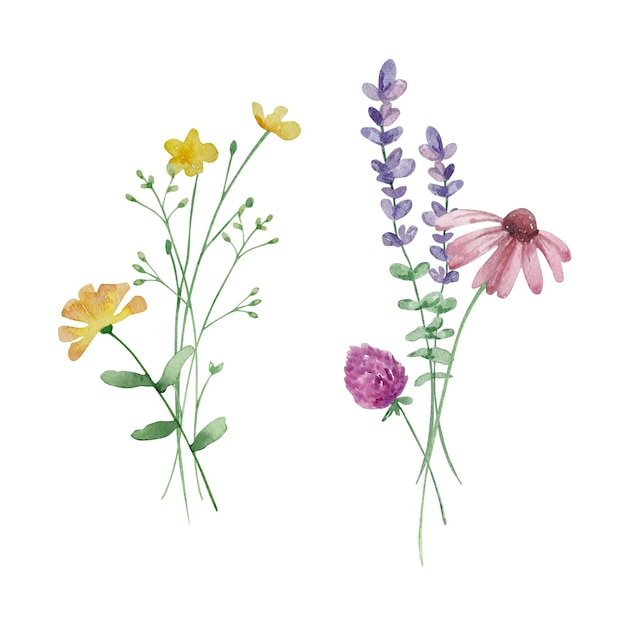 Ramo de acuarela de ilustración de flores silvestres para tarjetas