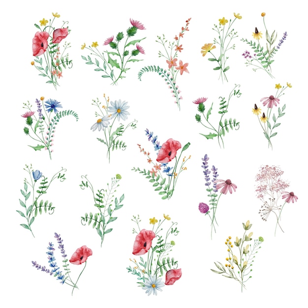 Ramo de acuarela de ilustración de flores silvestres para tarjetas