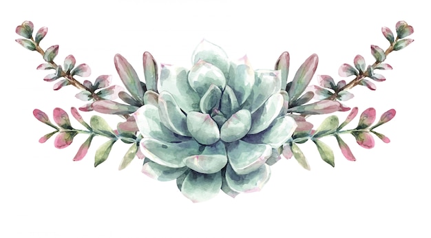 Vector ramo de acuarela suculentas. cactus cactus y suculentas pintura.