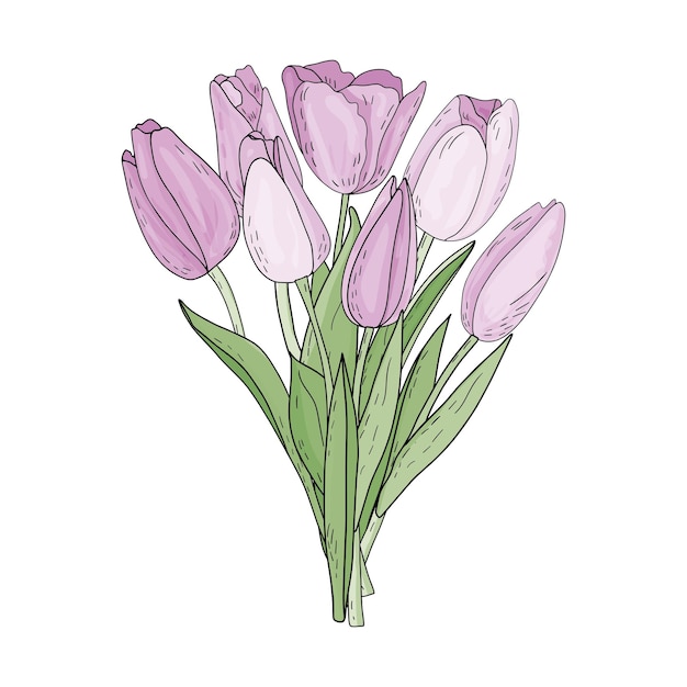 Ramo aislado vectorial dibujado a mano de tulipanes rosados con hojas en estilo garabato