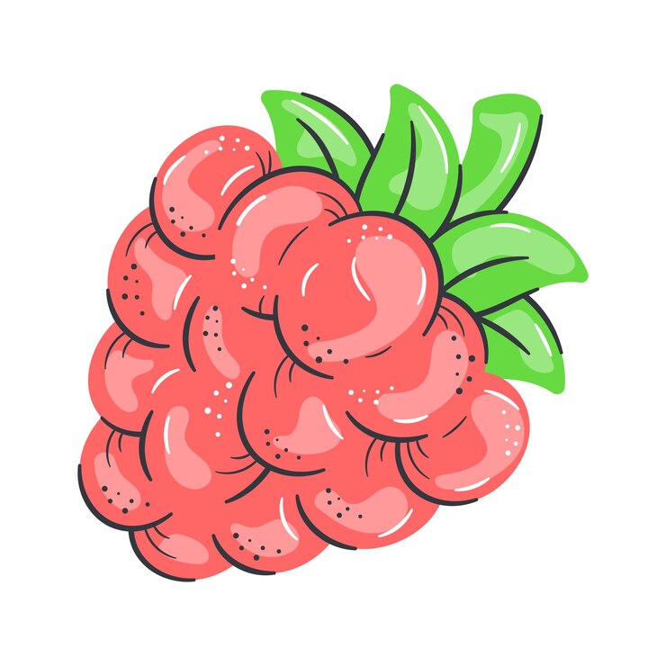 Vector ramo de bayas dulces icono de bayas rojas frutas antioxidantes naturales