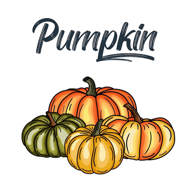 Ramo de calabaza y hojas de otoño Plantilla de diseño de acción de gracias Hola ilustración de otoño Festival de la cosecha Marco dibujado a mano con hojas de otoño calabaza Ilustración vectorial