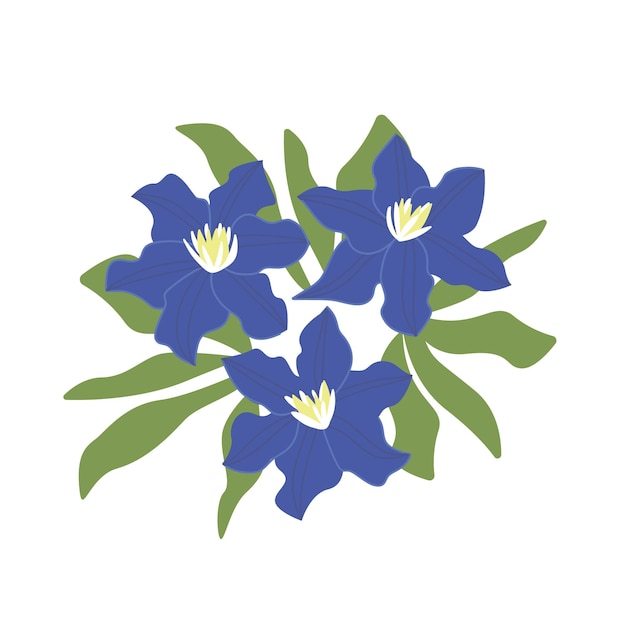 Vector ramo de clemátides azules. flor morada dibujada a mano sobre un fondo blanco aislado. elemento botánico decorativo. una planta con flores coloridas. ilustración vectorial en estilo garabato.
