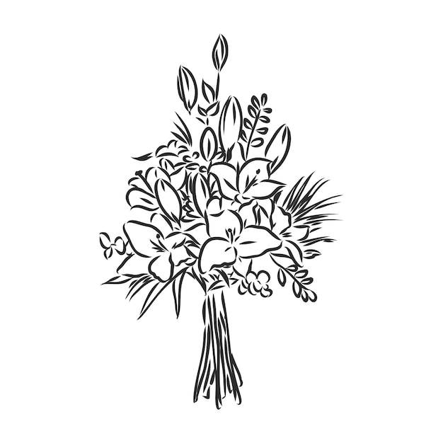 Vector ramo de composición floral con flores y plantas dibujadas a mano