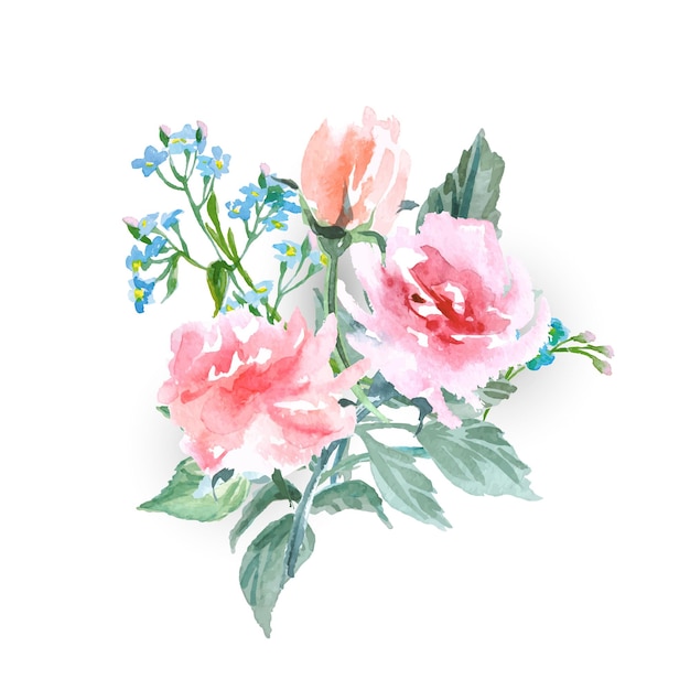 Un ramo de delicadas flores de acuarela, rosas, nomeolvides. ilustración de vector de acuarela.